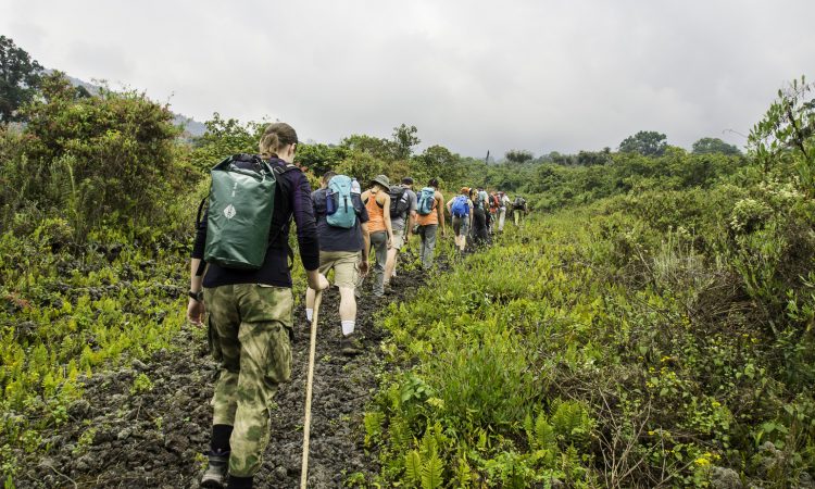 2 Day Mount Nyiragongo Hike Congo Safari