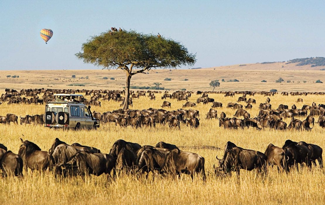 6 days Maasai Mara and Serengeti safari