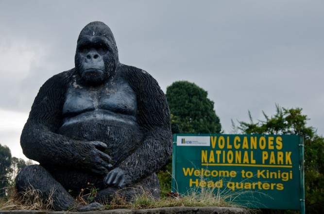 Best time to visit Volcanoes National Park Rwanda