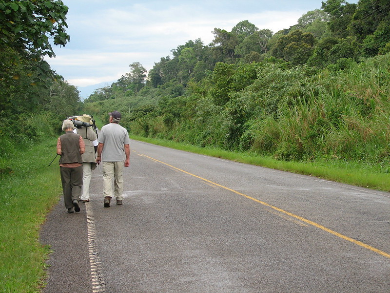 Kibale Forest National Park