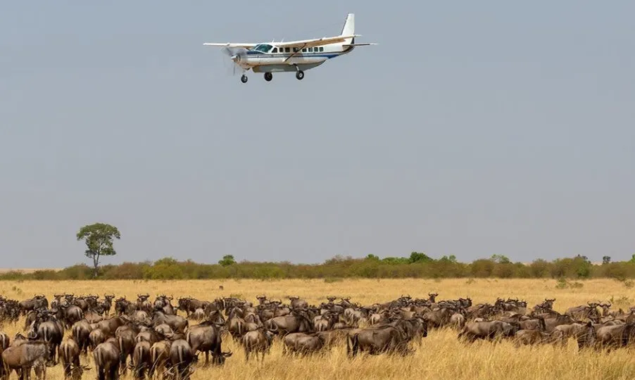 4 days Maasai Mara flying safari