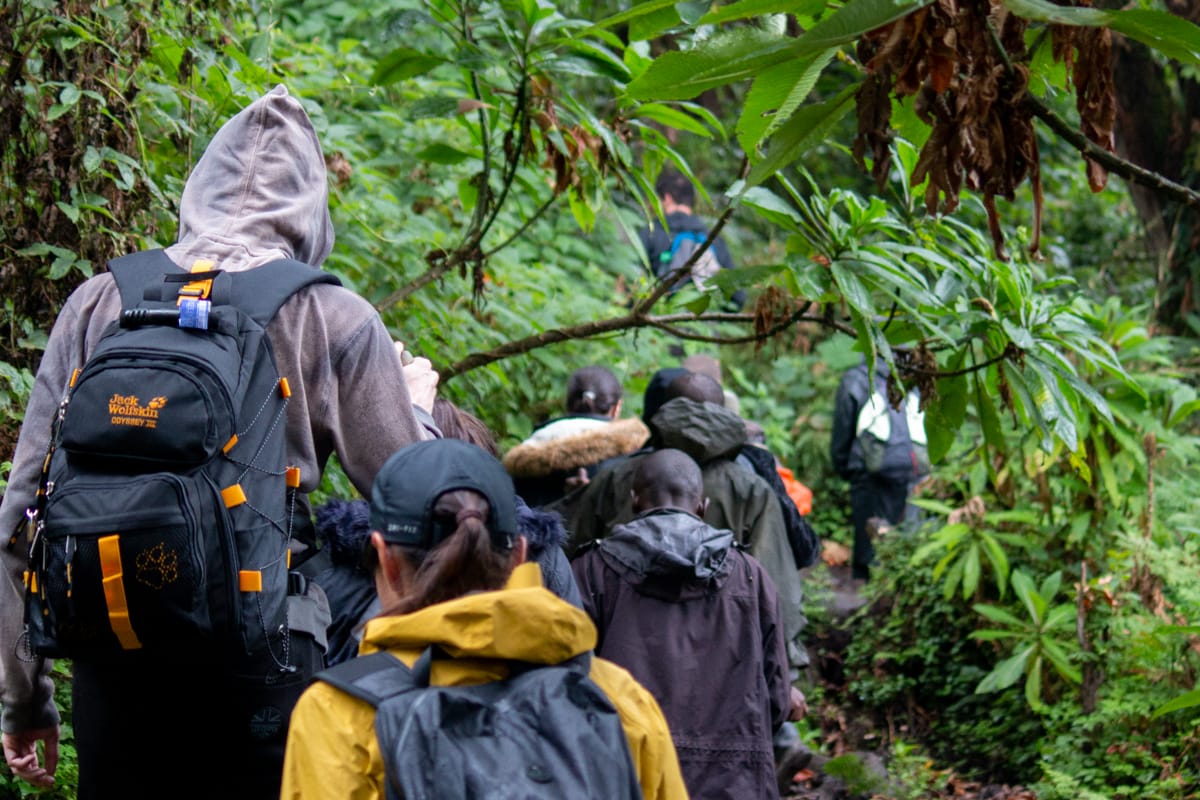 Mount Bisoke Hike Rwanda