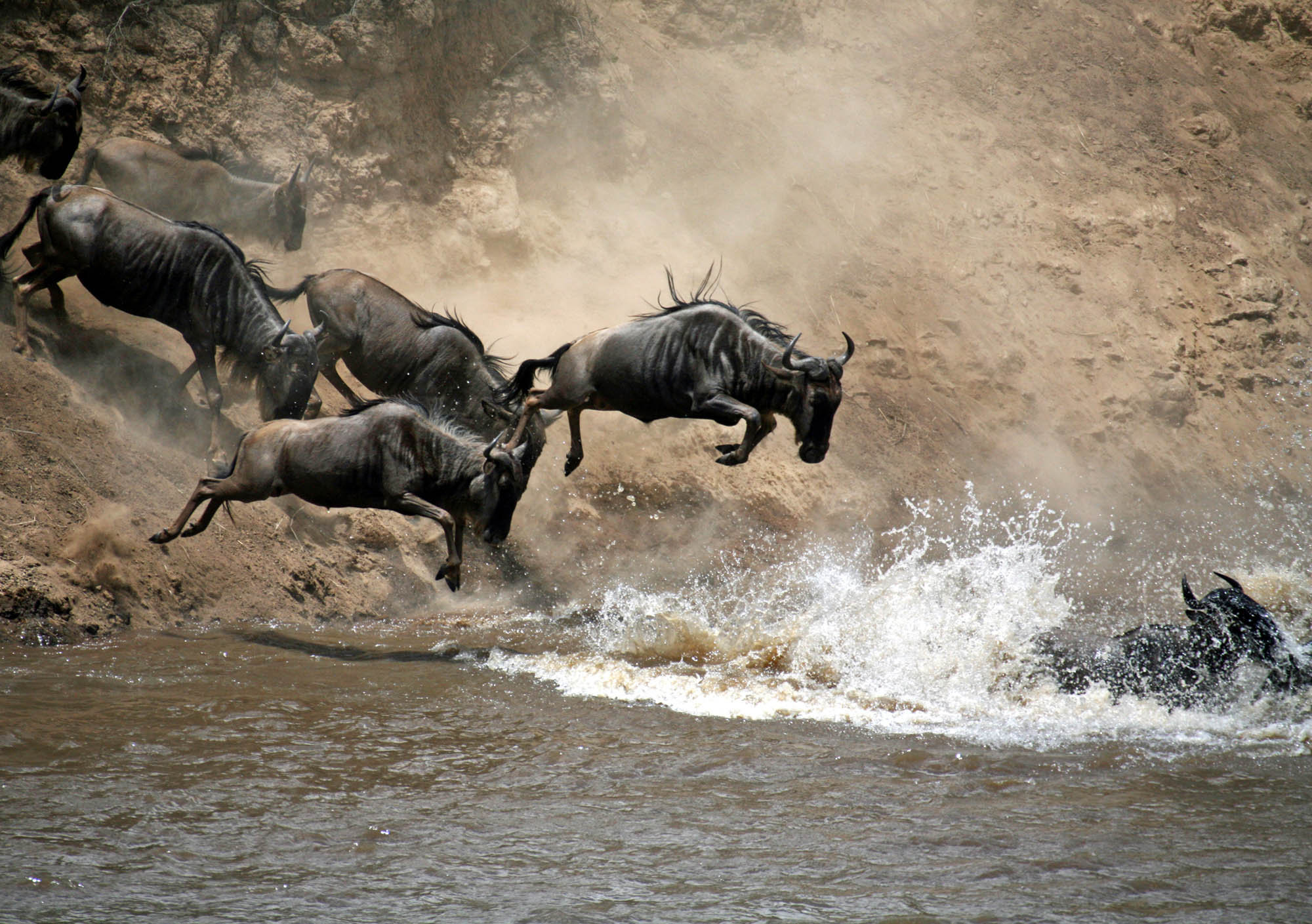4 Days Mara River Crossing Safari